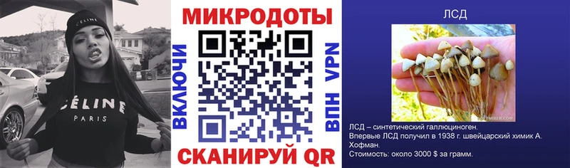 Галлюциногенные грибы ЛСД закладки kraken как войти мориарти Telegram Гаджиево